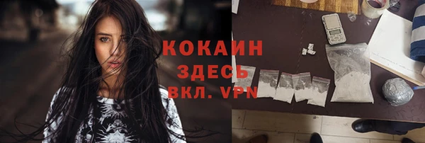 прущая мука Богородицк