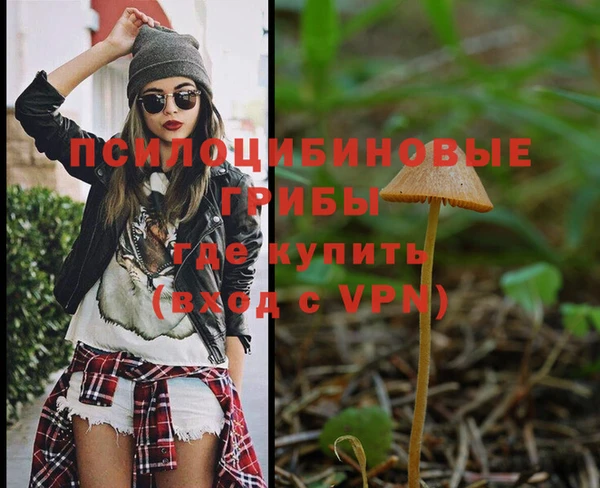а пвп мука Богданович