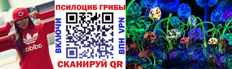 Галлюциногенные грибы мухоморы  купить наркотики цена  Будённовск 